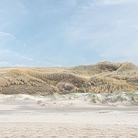Strand en duinen bij Castricum aan Zee 2 van Rob Liefveld