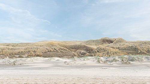 Strand en duinen bij Castricum aan Zee 2