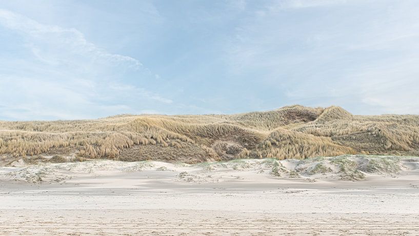 Strand en duinen bij Castricum aan Zee 2 van Rob Liefveld