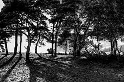 Aan het eind van een mooie dag.