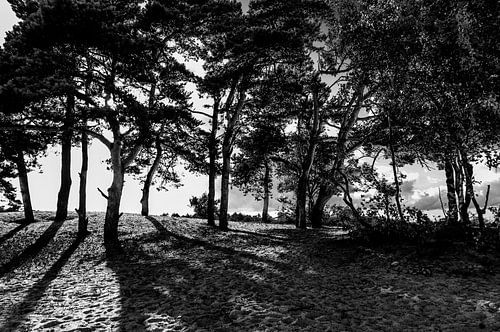 Aan het eind van een mooie dag.