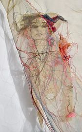 'Rousing Colour Veiled' by Kim Rijntjes