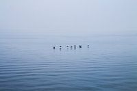 Lake Ontario, Canada