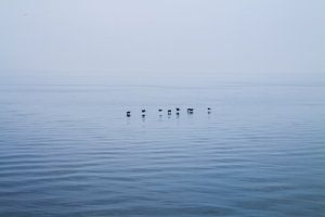 Lake Ontario, Canada sur Rob Altena