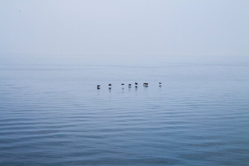 Lake Ontario, Canada van Rob Altena
