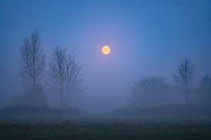 La pleine lune sur Jeroen Lagerwerf