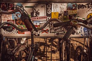 Fahrräder von Piotr Aleksander Nowak