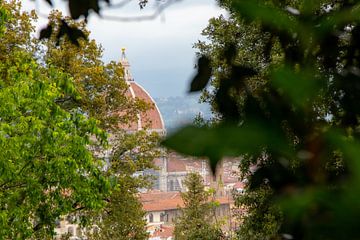 A glimpse of the cathedral of Florence by Martijn
