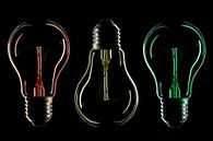 Bulb silhouette and colour 2 by Tanja van Beuningen thumbnail