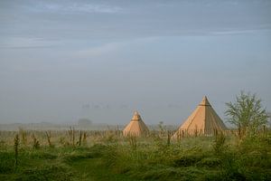 Tipis im Nebel