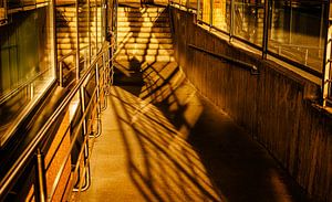 Goldene Schatten – Geländer & Treppe im Abendlicht