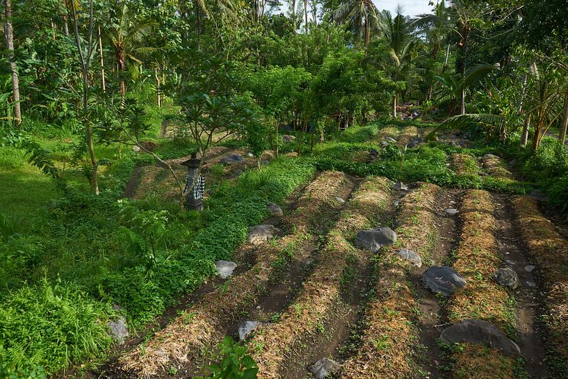 Agriculture around the stones by Martijn Stoppels