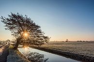 L'hiver dans le polder  par John Verbruggen Aperçu