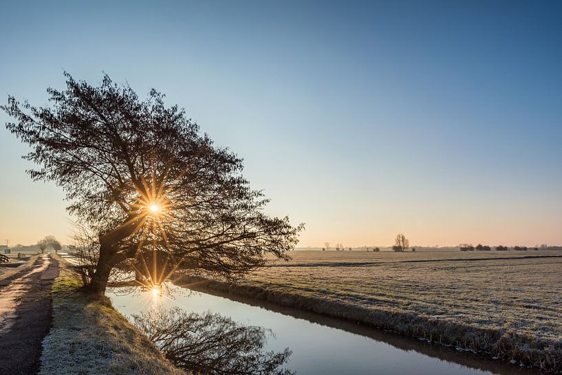 Winter im Polder von John Verbruggen