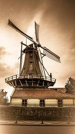 Achtseitiges Gerüstwerk von Andre Nees