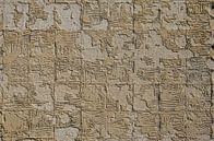 Sun-exposed wall with glue residue by Frans Blok - photos, art and other wall decoration thumbnail