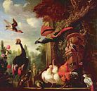 Ein Pfau, eine Pfauenart und andere exotische Vögel und Geflügel auf einer Terrasse, Melchior d'Hond von Bridgeman Masters Miniaturansicht