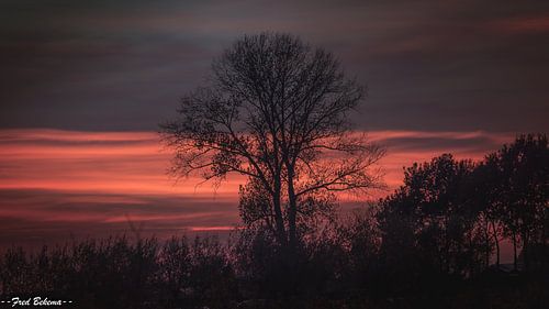 Sunset in Ijselstein