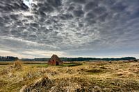 Schapenboet de Nederlanden Texel