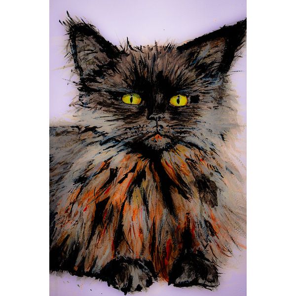 Maine Coon, cat as a lion van Heleen Stulp