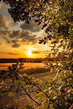 Coucher de soleil sur un champ de blé sur Stefan Kreisköther