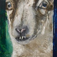 Sheep Experiment