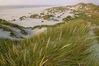 Strand von Terschelling