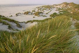 Strand von Terschelling von Dirk van Egmond
