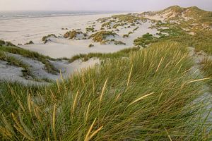 Beach of Terschelling by Dirk van Egmond