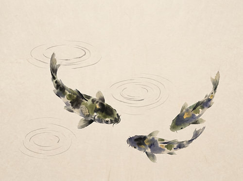 Gelassene Koi-Fische in sanften Wellen von Syapaat syapaat