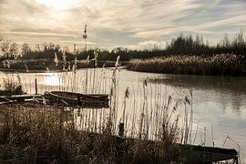 Europareservat Unterer Inn