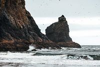 The rugged Oregon Coast with Sea Stacks and birds