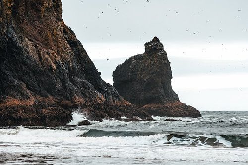 De ruige Oregon Coast