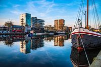 Piushaven
