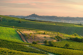 Weingut Cerreto Guidi – Sonnenuntergang – Blick auf den Turm von San Miniato – Toskana