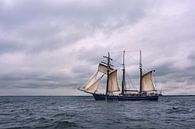 Segelschiff auf der Ostsee vor Warnemünde von Rico Ködder Miniaturansicht