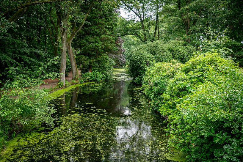 een vijver omzoomd door bomen met rood en groen gebladerte van ChrisWillemsen
