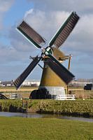 Mill Hope Does Life in Voorhout