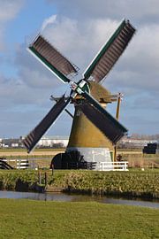 Molen Hoop Doet Leven in Voorhout van Rob Pols