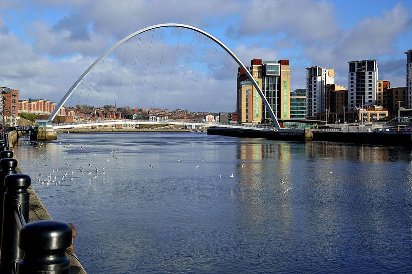 Brug &#039;n vogels van Frank's Awesome Travels