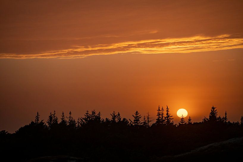 Sonnenuntergang mit Bäumen von Marjolein van Roosmalen