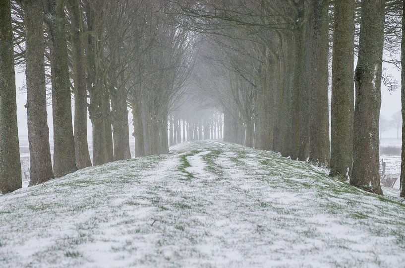 Schneelandschaft von Jasper Los