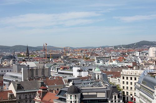 Uitzicht over Wenen, Oostenrijk