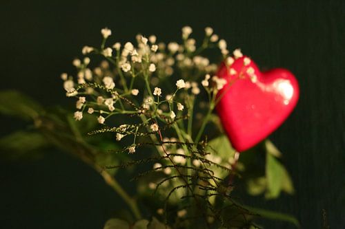 Gipskruid en hart