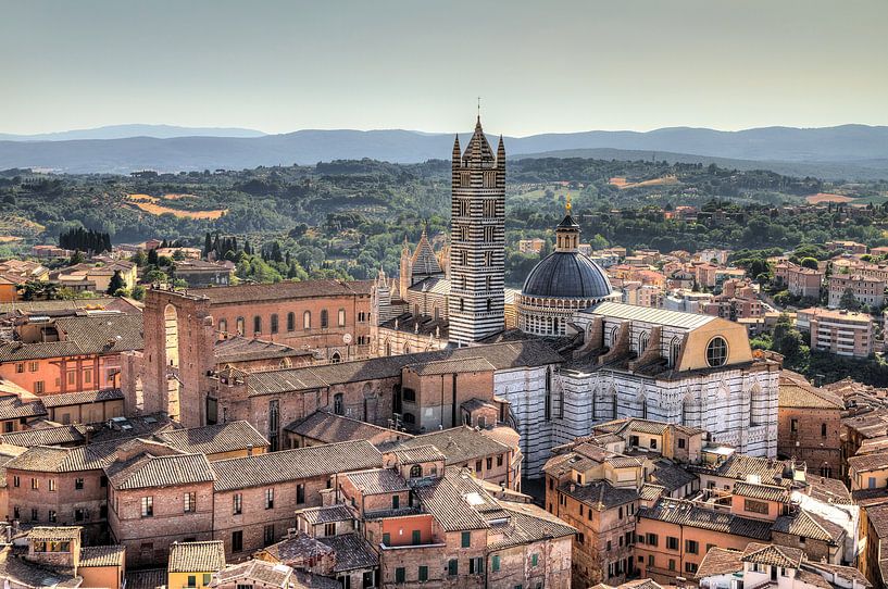 Siena Kathedraal von Dennis van de Water