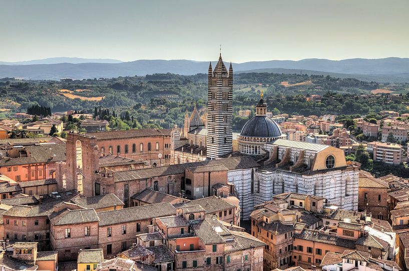 Siena Kathedraal van Dennis van de Water