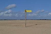 wegwijzer staat moederziel alleen in de Drunense duinen