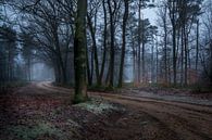 Chemin à travers la forêt par Mario Visser Aperçu