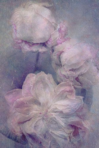 Requiem in Blush by The Art Of Vili