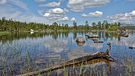 Norwegen, Naturreservat Gutulia by Michael Schreier
